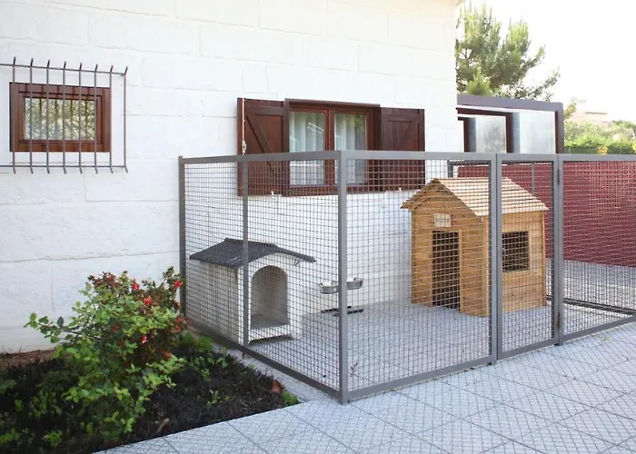 Woof & Sun * Esmoriz