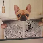 Σπίτι διακοπών Woof & Sun *