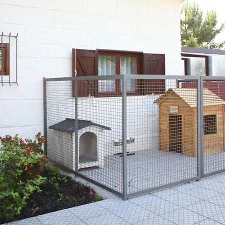 Woof & Sun * Esmoriz