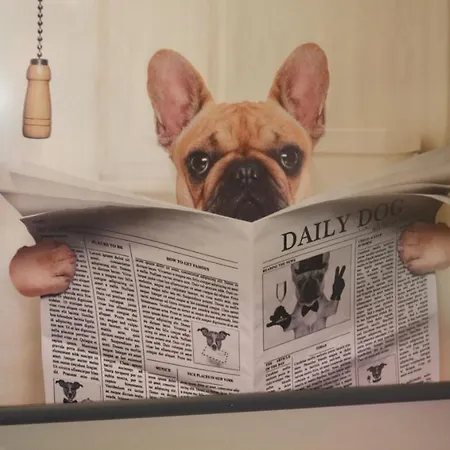 Дом отдыха Woof & Sun *