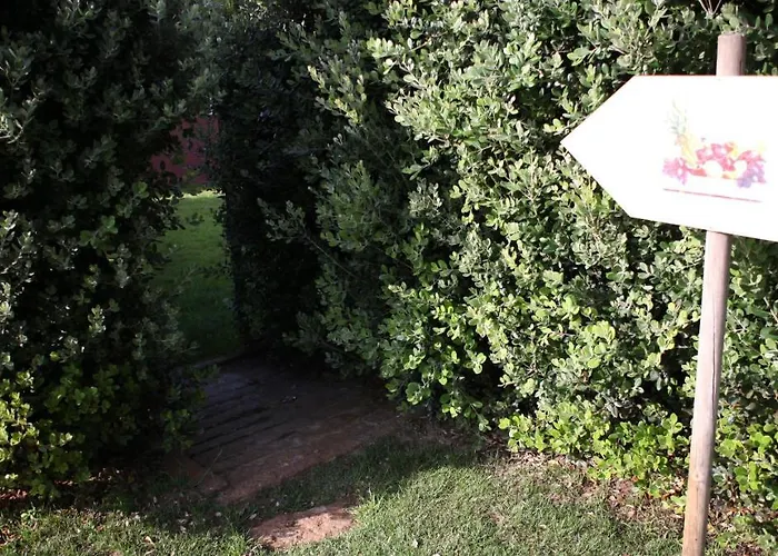 Дом отдыха Woof & Sun