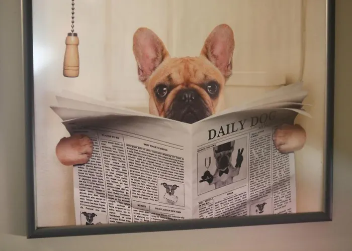 Дом отдыха Woof & Sun *